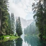 Bildnachweis offerings 01