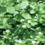 Bildnachweis am wegesrand