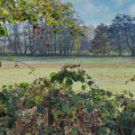 Bildnachweis in der landschaft