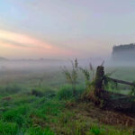 nebel ueber den feldern