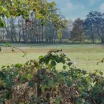 Bildnachweis 105 landschaft-header-gross