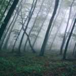 Bildnachweis 118 natur