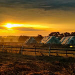 sonnenaufgang im moor