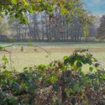 Bildnachweis 101 Blick über eine wilde Brombeere in die Wiesenlandschaft.