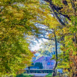 Bildnachweis 88 Feldweg im Herbstlaub unter einer Blätterallee mit Blick in die folgende Ortschaft
