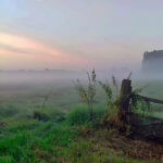 Bildnachweis 100 Morgennebel im Helmstorfer Moor - Blick über die Moorwiesen