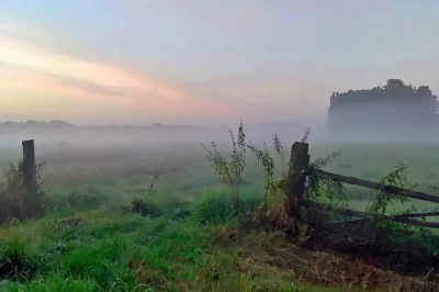 Morgennebel im Helmstorfer Moor - Blick über die Moorwiesen