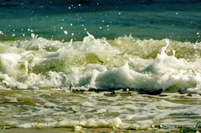 Brechende Welle an der Ostsee im Detail mit spritzender weißer Gischt, Wassertropfen und grünem Seegras.