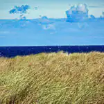 Bildnachweis 36 Dünengras an der Ostsee mit Blick auf das tiefblaue Meer unter leicht bewölktem Himmel.