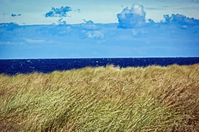 Dünengras an der Ostsee mit Blick auf das tiefblaue Meer unter leicht bewölktem Himmel.