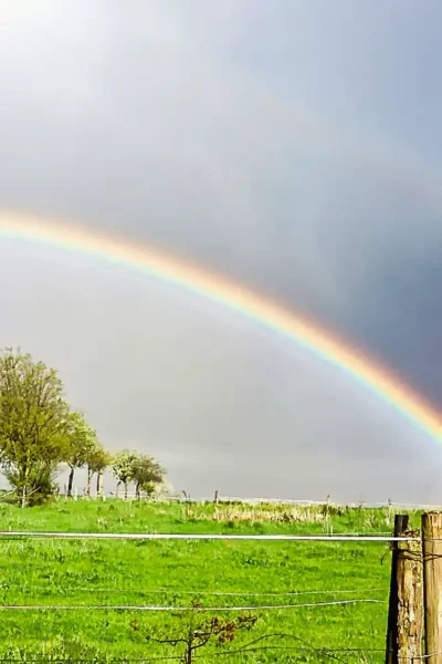 Regenbogen über grau bewölktem Himmel über grünen Wiesen.