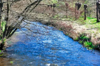 Sprudelnder Bachlauf der Seeve mit klarem, bläulich schimmernden Wasser.