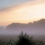 Bildnachweis 96 Sonnenaufgang über dem Helmstorfer-Moor in Seevetal