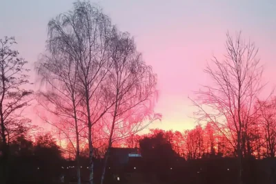 Sonnenaufgang über Hittfeld im Winter mit rotem Himmel