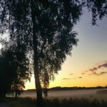 Bildnachweis 94 Sonnenaufgang bei Seevetal-Ramelsloh, Nebel über den Wiesen