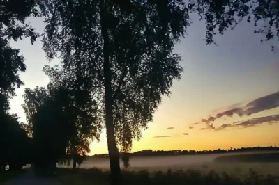 Sonnenaufgang bei Seevetal-Ramelsloh, Nebel über den Wiesen