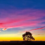 Bildnachweis 92 Sonnenuntergang gelb-rot-blauer Himmel mit Baum-Silhouette