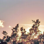 Bildnachweis 91 Sonnenuntergang mit Blick über die Bäume an der Ostsee in Mecklenburg-Vorpommern