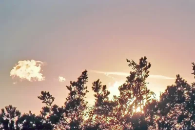 Sonnenuntergang mit Blick über die Bäume an der Ostsee in Mecklenburg-Vorpommern